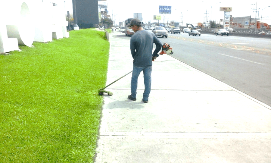 Mantenimiento De Áreas Verdes Monterrey Mantenimiento De Jardines 9018